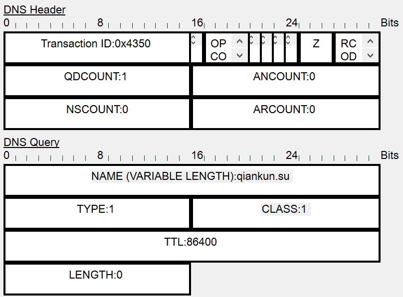 pt-dns-query